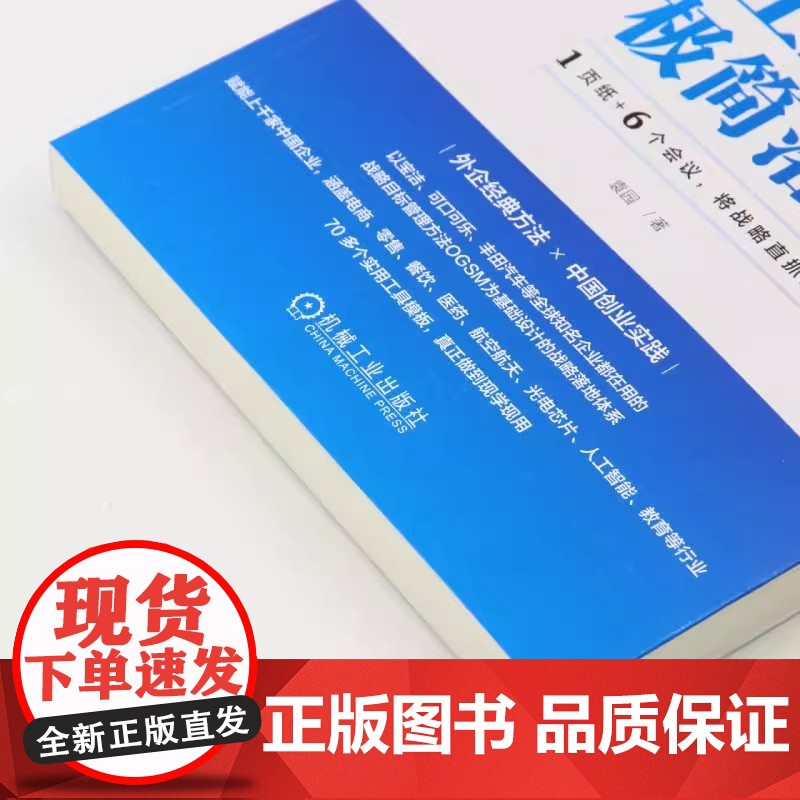 正版 袁园 OGSM让战略极简落地 1页纸 6个会议 业务目标 策略重点 衡量指标 行动计划 将战略直抓到底 责任到人高清大图