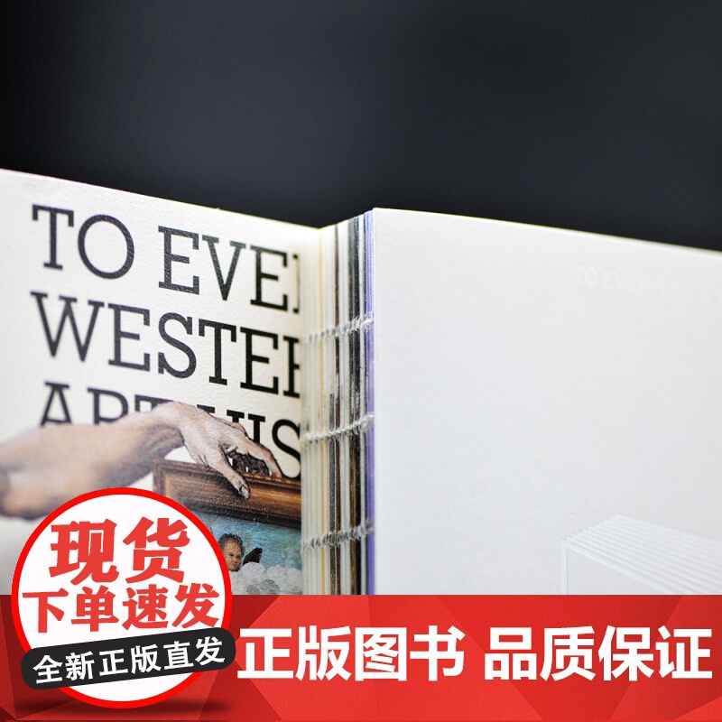 写给大家的西方美术史 蒋勋 著 艺术的故事 西方艺术史美术史纲 西方艺术故事发展史 艺术理论经典图书籍蒋勋的书高清大图