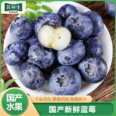 顺丰快递[苏鲜生]新鲜丹东蓝莓 8盒 125g/盒 单果18mm+ 单果当季新鲜孕妇水果脆甜蓝梅甜浆果整箱