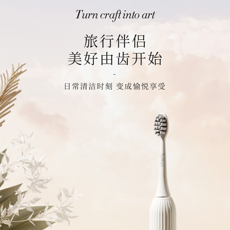 艾优 个人护理电动牙刷套装 T13-A高清大图