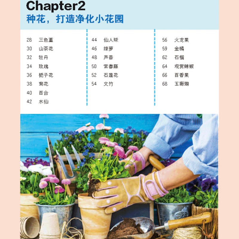 [醉染正版]幸福花草时光 家庭种花种蔬菜种水果的指南 彩色插图 种植园艺花草栽培初学者入门蔬果蔬菜种花养花书籍 园艺爱好高清大图