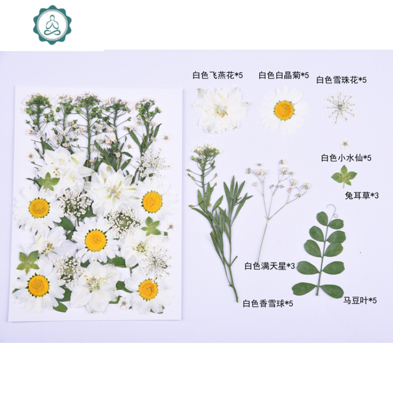 林小宅同款写真亲子装婚纱照汉服照干花花瓣贴脸妆干花压花手机壳 封后 花朵红色款(送睫毛胶) 干花包
