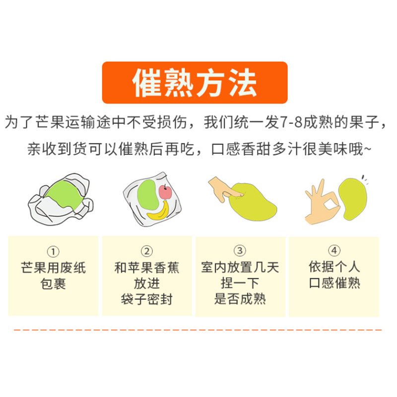 芒果大青芒当季时令新鲜水果青芒果 净重5斤 大果[400g+]