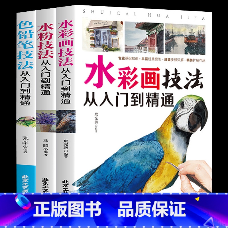 【正版】全三册 水彩画技法从入门到精通+水粉技巧从入门到精通+色铅笔技法从入门到精选 自学零基础书籍书速写书书水粉