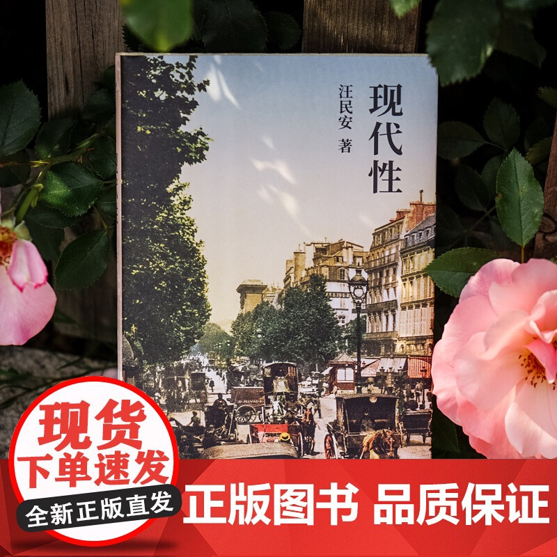 现代性 汪民安 守望者系列丛书 描述了现代生活的种种特征透过具体现象深入现代生活的本质认识现代性高清大图