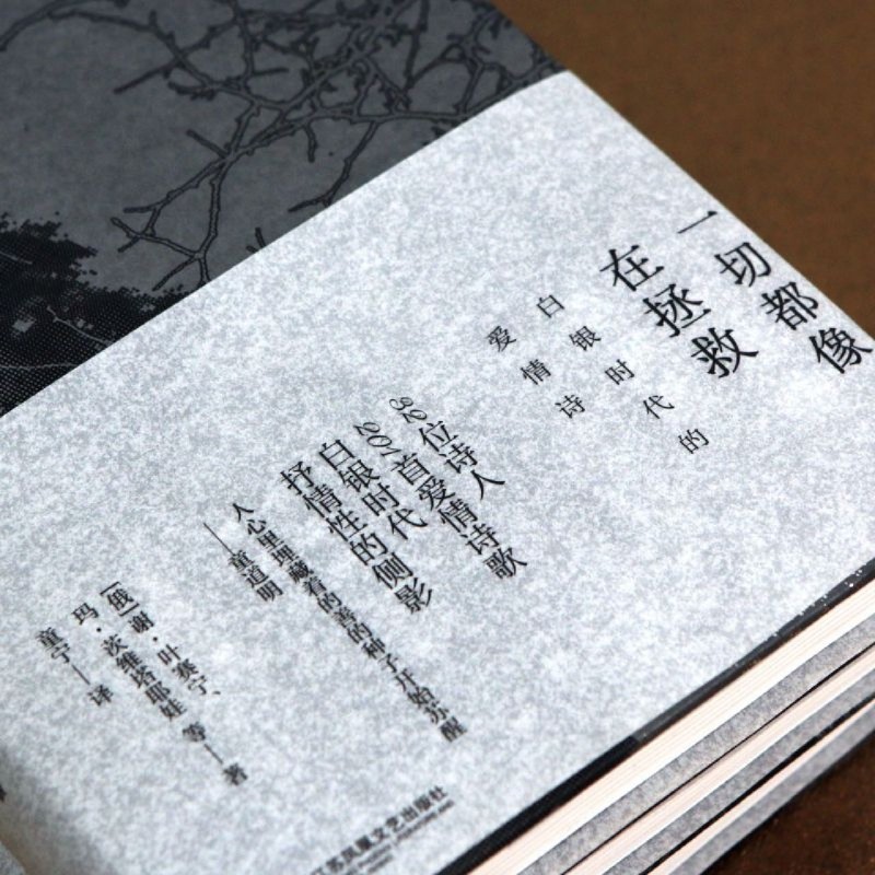 [正版]一切都像在拯救 白银时代的爱情诗 叶赛宁茨维塔耶娃阿赫玛托娃爱情诗歌 俄国现代主义白银时代文学 外国诗歌文学书籍高清大图