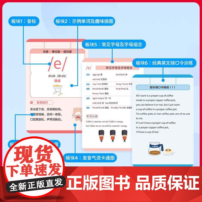 小学英语国际音标卡 上海元远教育同济大学出版社高清大图