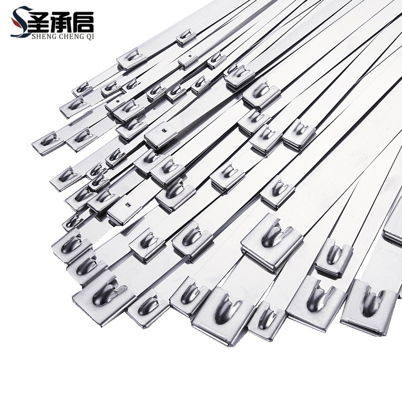 圣承启 不锈钢束线带 4.6*650mm根高清大图