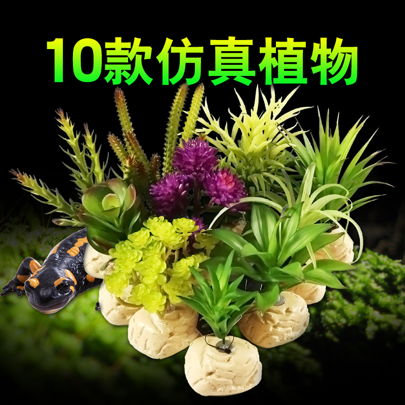 爬虫箱仿真多肉热带植物盆栽桌面装饰爬虫箱造景陆龟箱蜥蜴箱_1高清大图