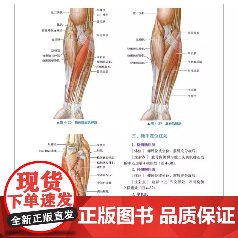 肉毒毒素精准定位注射技术图解附视频 窦祖林 填充注射美容书 肉毒 医美护肤微整形整容美肤 皮肤基础理论培训教材 保健驻颜高清大图