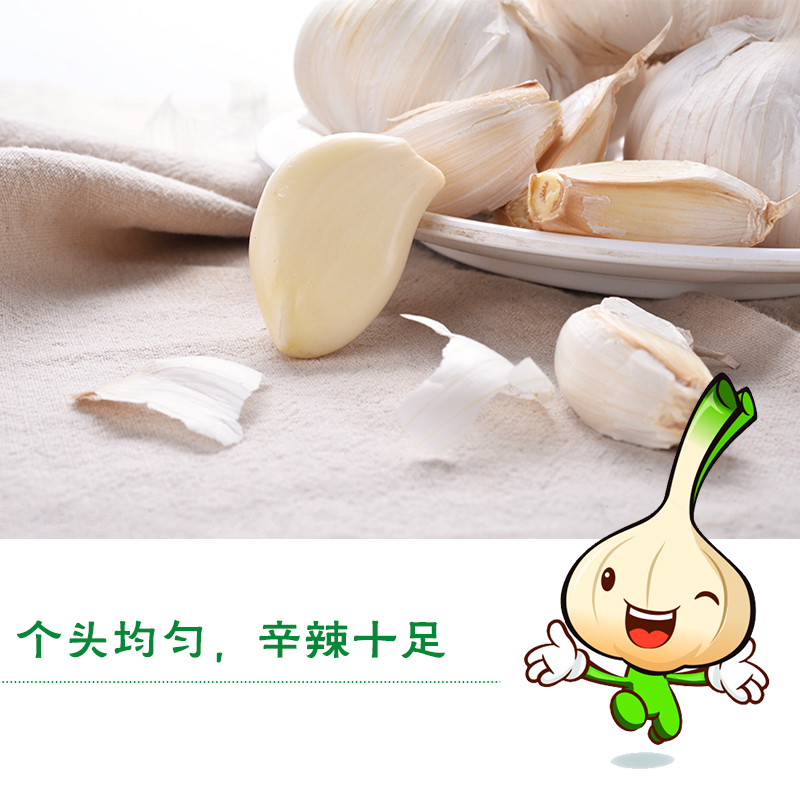 [中华特色]兰考馆大蒜2500g 干蒜 蒜头 凉菜调味 华中高清大图