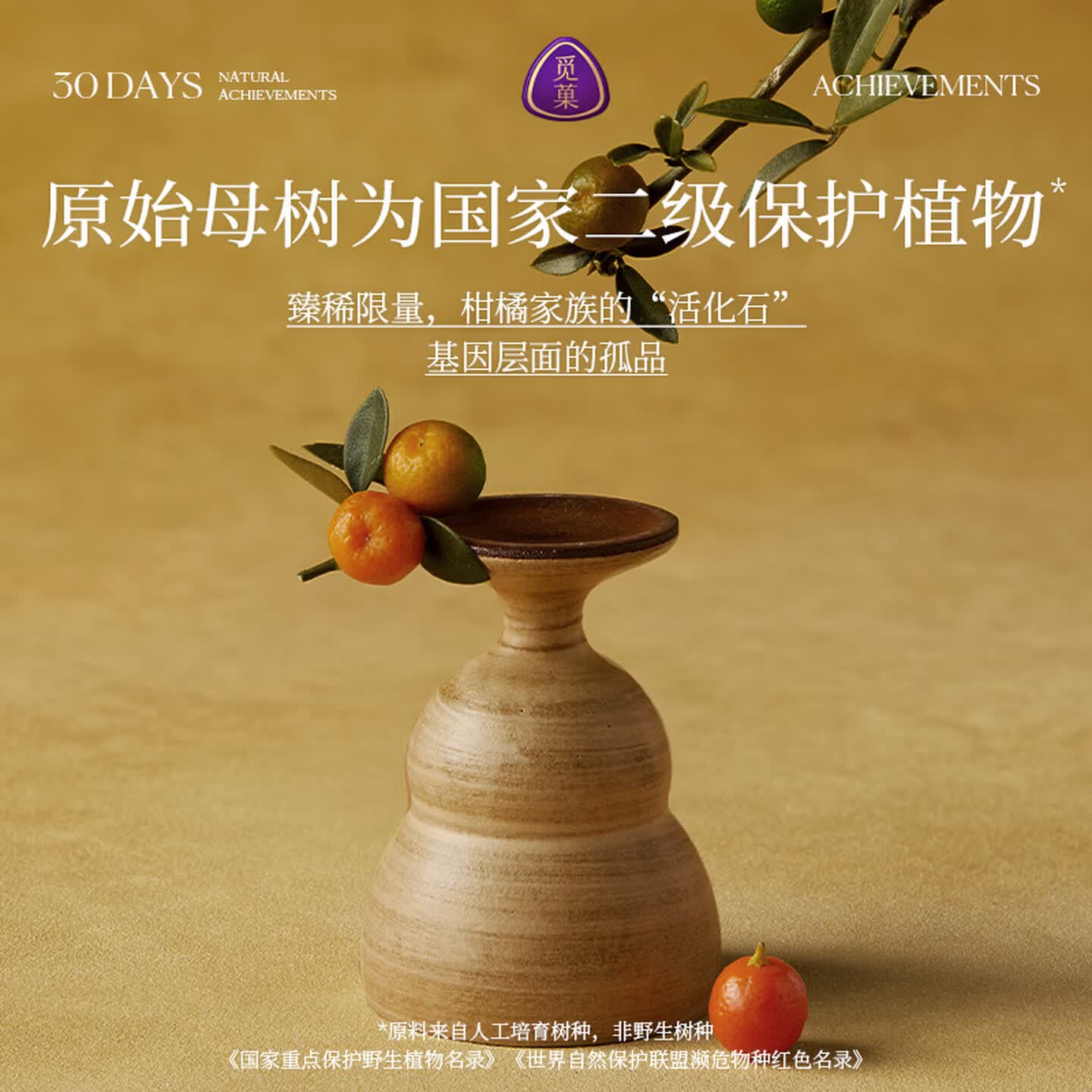 觅菓(miguo)花雾武夷山脉小山橘干AAA+养生茶富钾祛湿降火天然柑橘泡茶168g高清大图