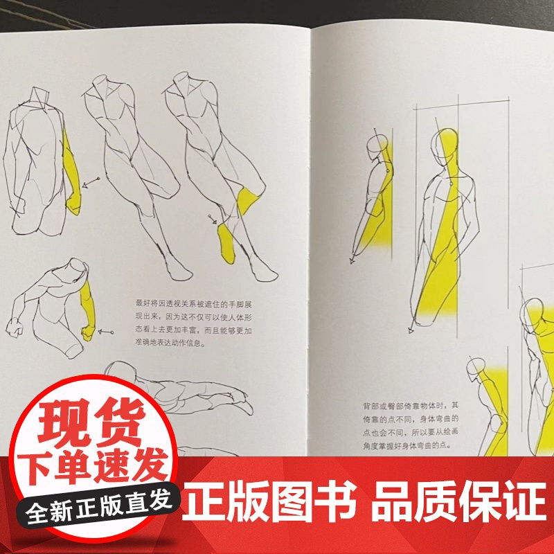 [央视网]人体结构绘画重点 全球的TACO 崔元喜 人体结构绘画教程 从头发丝到脚趾结构 彻底讲清人体绘画的难点和易错点高清大图