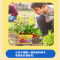 儿童种植吧阳光房玩具小学生花创意植物种菜科学实验套装手工diy