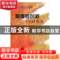 颠覆性创新SNM视角