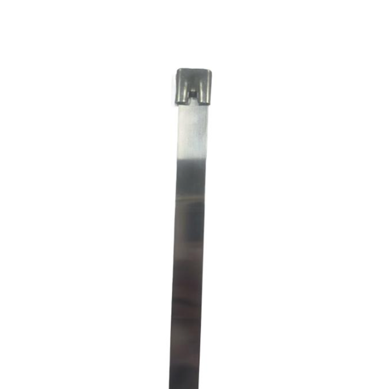 传承令 不锈钢扎带 19*1600mm 根高清大图