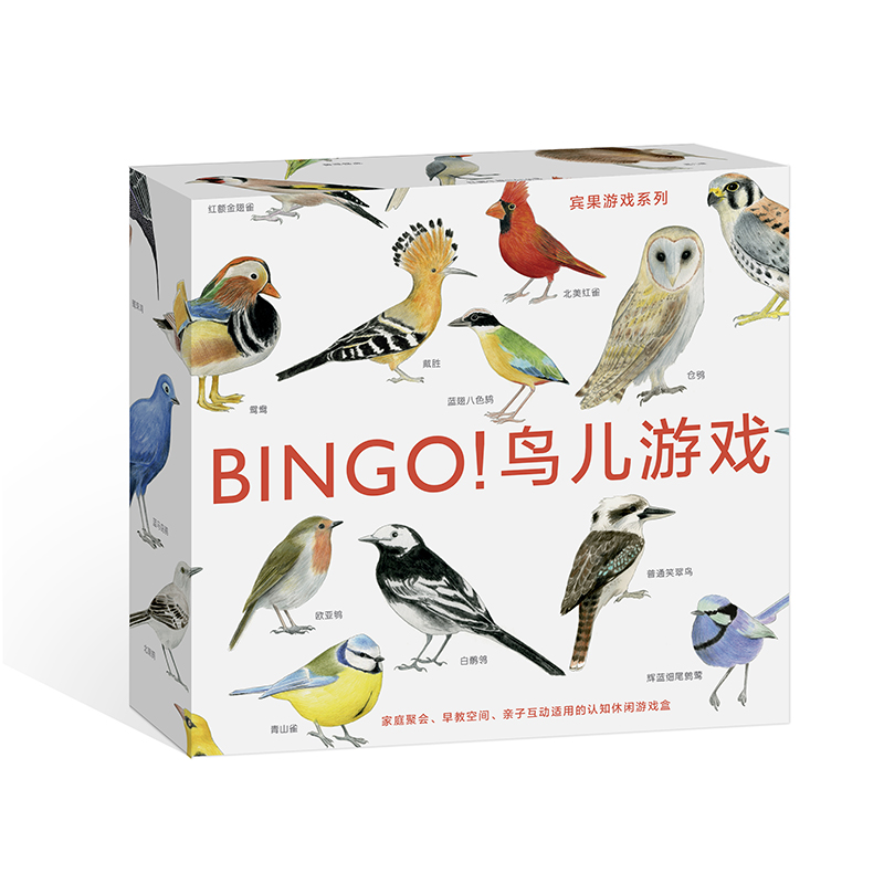 [正版] 宾果系列 BINGO鸟儿游戏 3至6岁儿童读物教辅益智启蒙 互动智力开发 探索与发现书籍高清大图