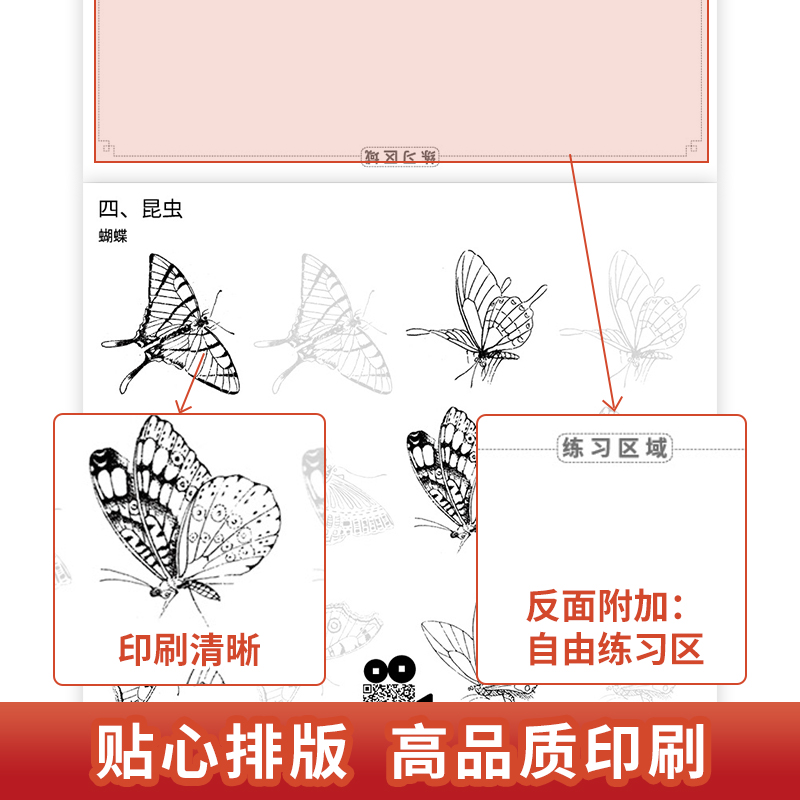 [正版]中国画白描 动物篇 禽鸟走兽昆虫鱼类 工笔画白描底稿 国画初学者入门教程 画画自学零基础 宋画 临摹画册 画集高清大图