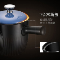 爱仕达ASD 耐热陶瓷砂锅煲汤养生煲2.5L明火药膳煲可煎中药RXC25B2QY