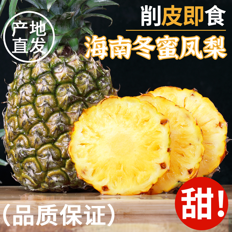 [西沛生鲜]海南冬蜜凤梨 净重3斤 新鲜纯甜正当季孕妇水果整箱非金钻凤梨手撕高清大图