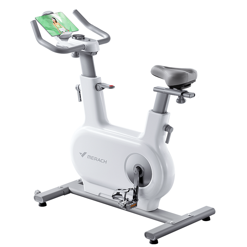 麦瑞克动感单车家用智能调阻健身车健身器材室内静音自行车绝影ONE 2代高清大图