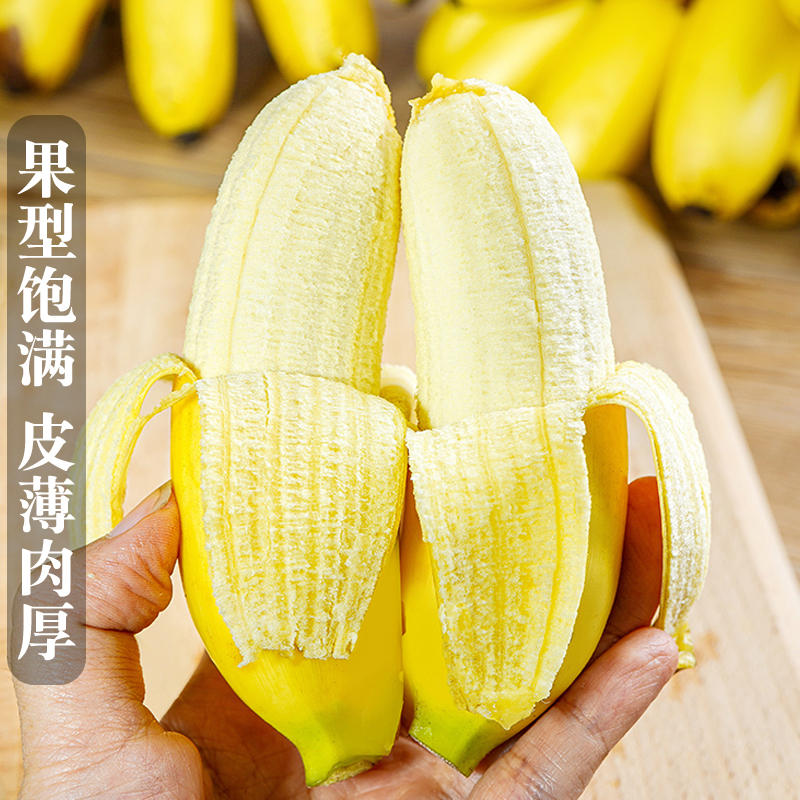 [熊猫鸟]新鲜农家小米蕉 净重9斤 箱装 新鲜当季水果 香甜软糯 孕妇宝宝辅食高清大图