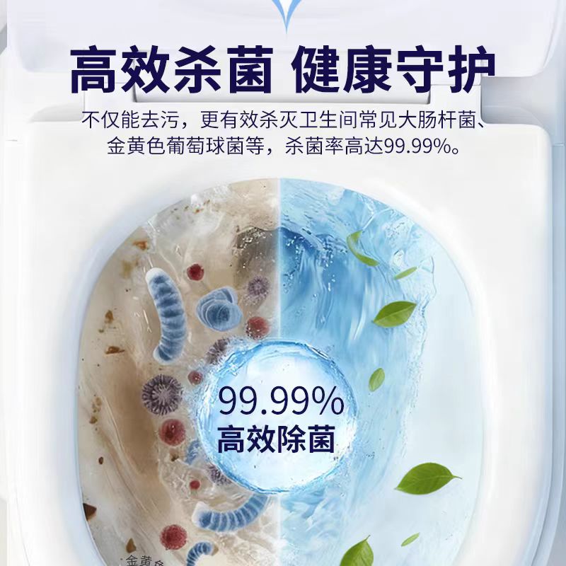 丁家宜洁厕液500g高清大图