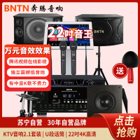 奔腾(BNTN)KTV音响2.1全套低音炮套装家庭影院点歌机卡拉OK专业会议U段话筒2T语音点歌8000功放配12音箱