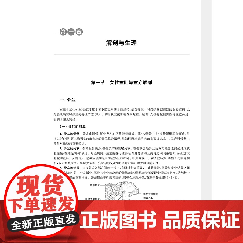 产后康复治疗学高清大图