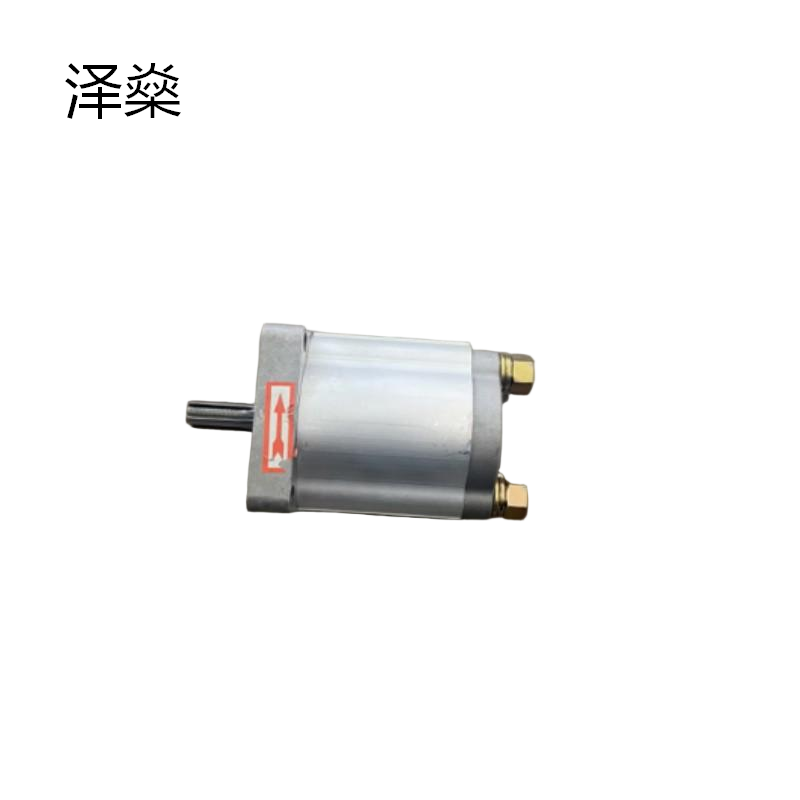 泽燊 定制皖捷液压齿轮油泵 型号:E316/E316(工期7天) (单位:台)
