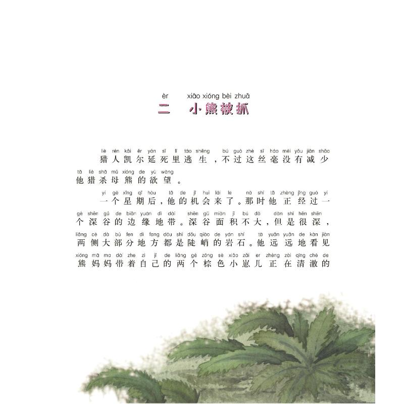 醉染图书熊王9787531348092高清大图