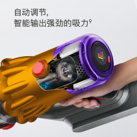 戴森(Dyson)手持吸尘器V12 Detect slim total clean 吸力持久不减退 快速吸除长发宠物毛发