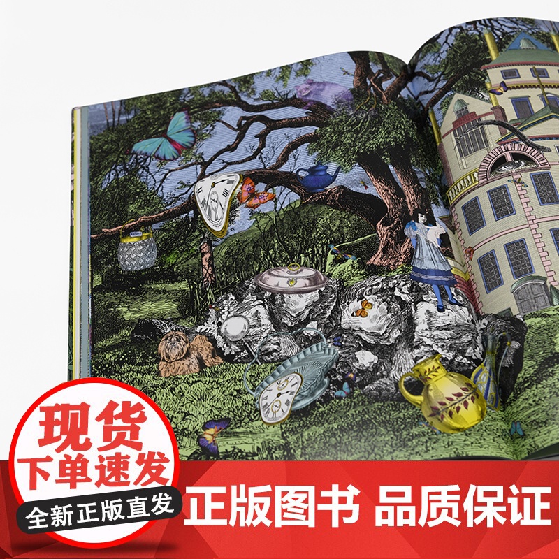 [央视网]百变爱丽丝 越奇越怪 [英]凯特·贝莉 西蒙·斯莱登 记录爱丽丝梦游仙境美术创作理论书籍YS高清大图