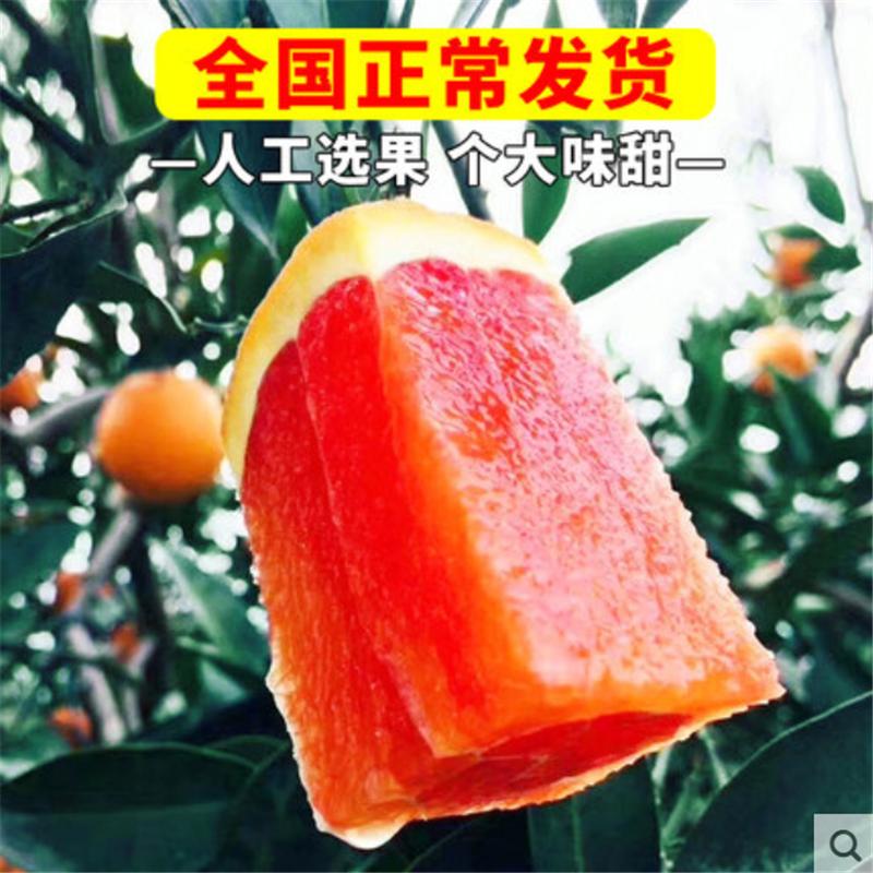 新鲜水果血 橙 9斤/箱