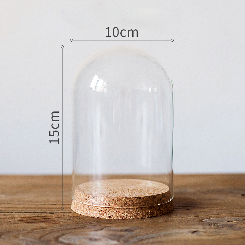 软木塞玻璃罩 装饰摆件微景观干花标本公仔玩偶瓶DIY F（10cmX15cm）_165