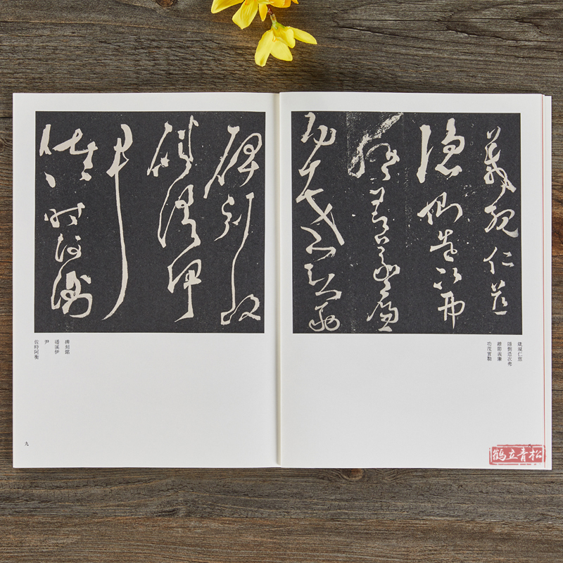 [正版]大草(二)断千字文离洛帖头并帖 毛笔字体碑帖拓片技法临摹鉴赏书籍历代法帖风格类编张旭怀素草书书书法临摹河南美术