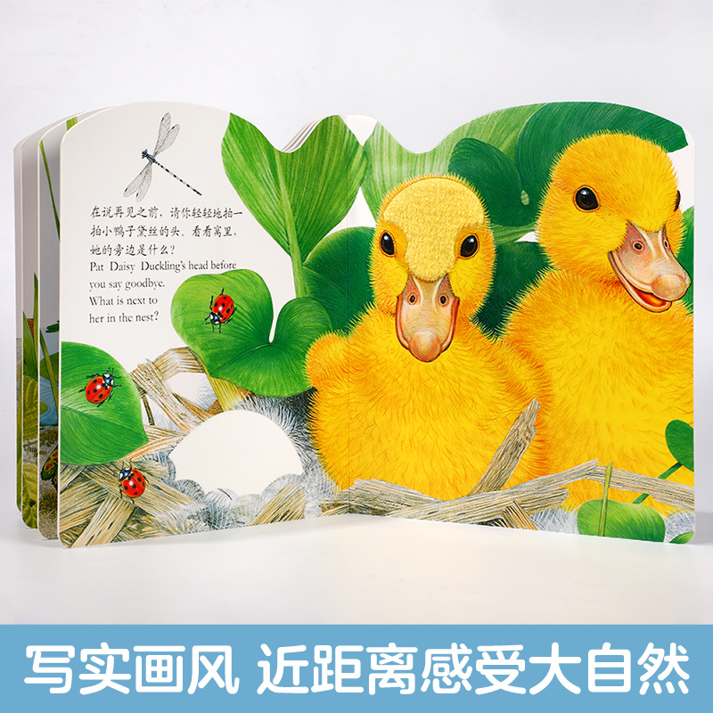 小水獭奥斯卡 [正版]亮丽精美触摸书系列小水獭奥斯卡0-3岁宝宝绘本婴幼儿启蒙认知中英双语绘本益智早教撕不烂亲子共读故事