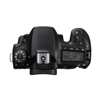 佳能(Canon)90D(18-135)中端单反数码相机 3250万像素 含128G卡+相机包+滤镜+三脚架