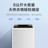 美的（Midea）波轮洗衣机全自动 8公斤大容量家用宿舍用 一键脱水下排水 智能预约10分钟快洗 免清洗MB80V331
