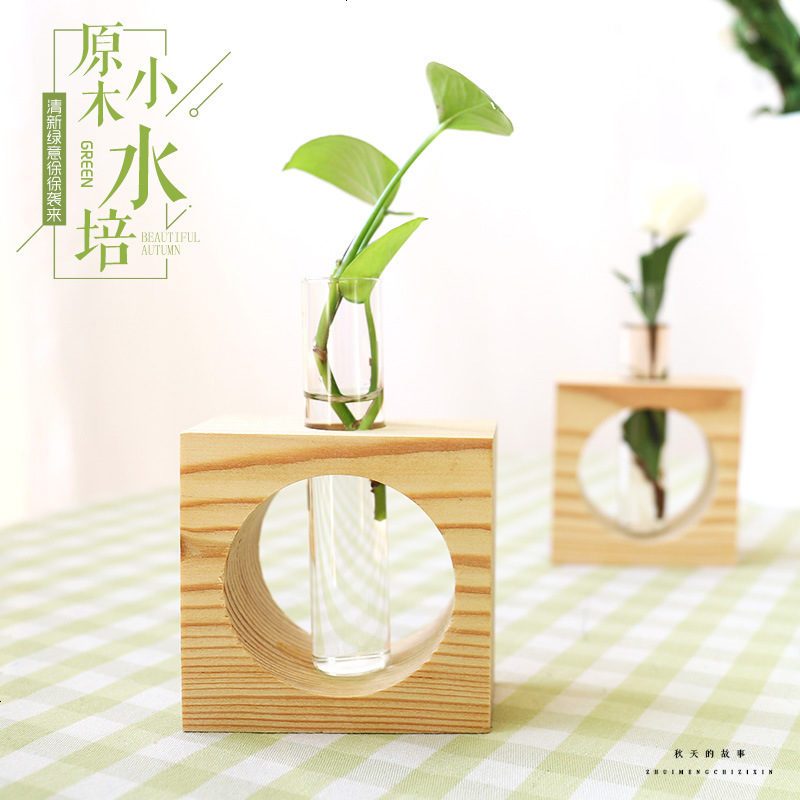 北欧风创意水培摆件 玻璃瓶植物水培办公桌面 电视柜摆设家居装饰