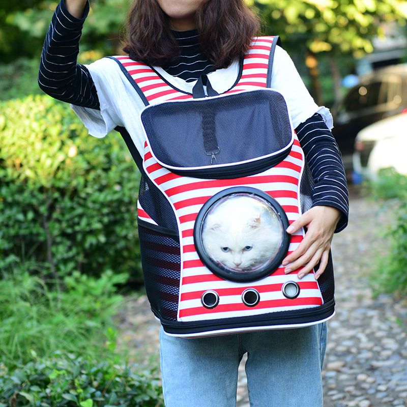 蓝猫包太空宠物舱包外出便携狗狗装猫笼子双肩猫袋用品书包猫咪背包