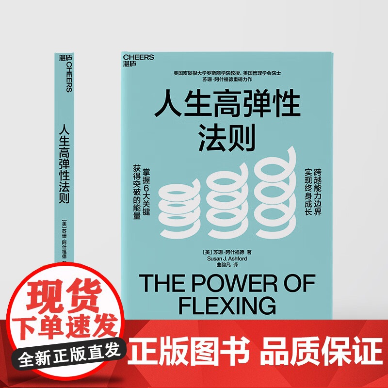 人生高弹性法则 苏珊 · 阿什福德 著 管理高清大图