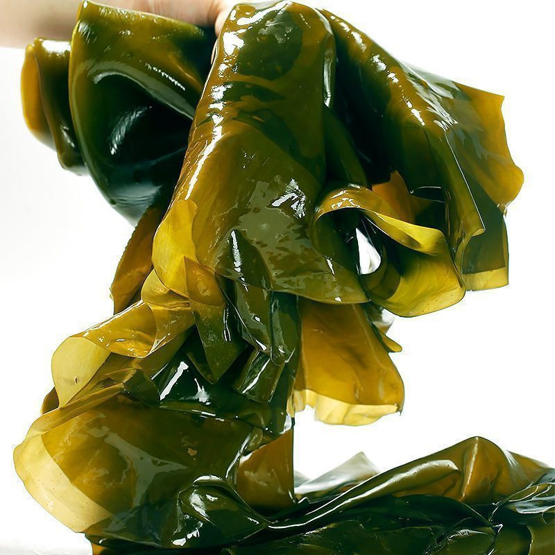 赛卡伊整颗海带批发厚海带新鲜凉拌火锅煲汤盐渍海带嫩芽海藻菜