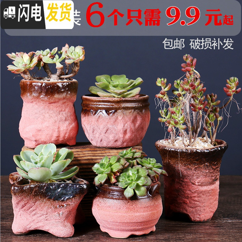 三维工匠多肉花盆陶瓷粗陶透气复古老桩肉肉创意小盆批发 新套装七 中等花盆容器
