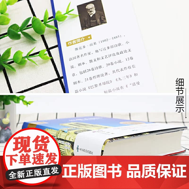 大悦读精装(全译本)名著阅读 巴黎圣母院高清大图