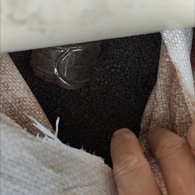 洋蝲蝲 锰砂 每颗长8-16mm 单位:千克高清大图