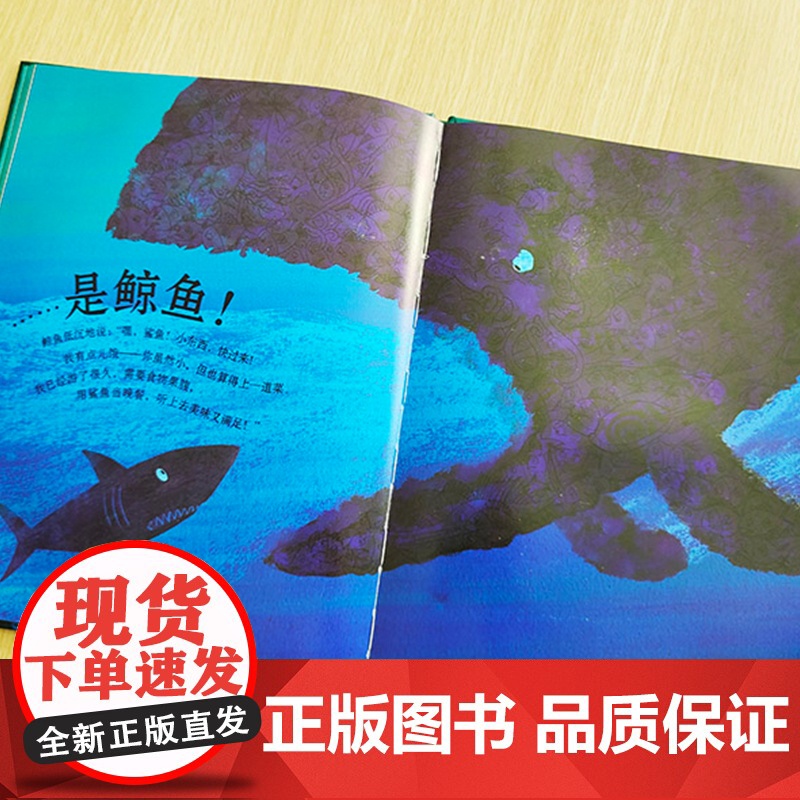 黑暗里的鲨鱼 3-6岁 精装 绘本 麦克米伦世纪 二十一世纪出版社 霸凌 勇气 团结 智慧 海洋高清大图