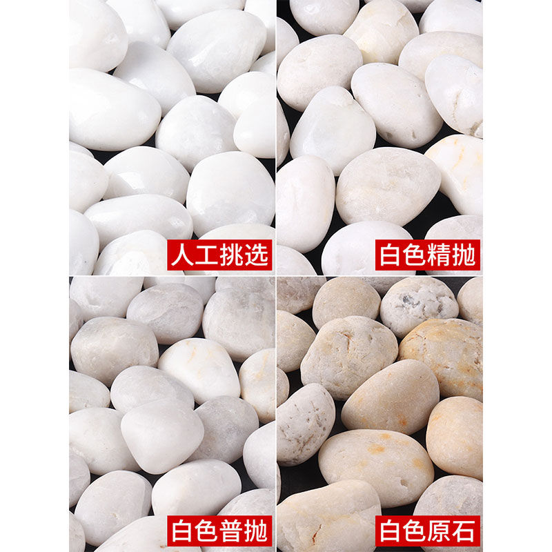 智美环球 白色鹅卵石雨花石 造景白石子 50斤白色精抛0.9-1.2CM高清大图