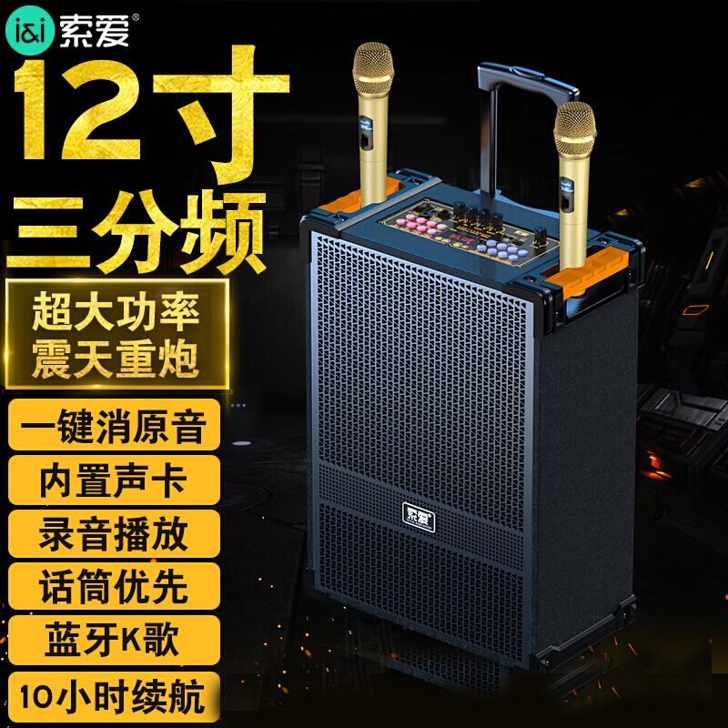 索爱(soaiy)SA-F29手提音响高低音户外k歌大音量广场舞电木吉他乐器音箱直播小型家用音箱 单麦高清大图