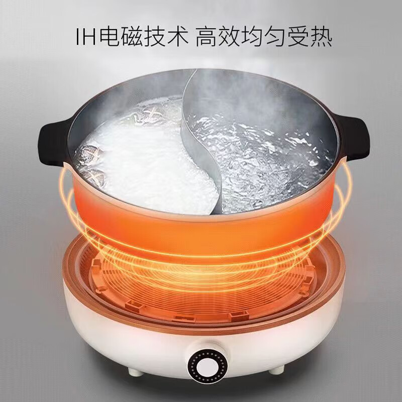 九阳(Joyoung)电火锅 C21-HG3高清大图